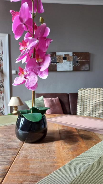 STUDIOS ET APPARTEMENTS EN CENTRE VILLE Boulogne sur mer - 3