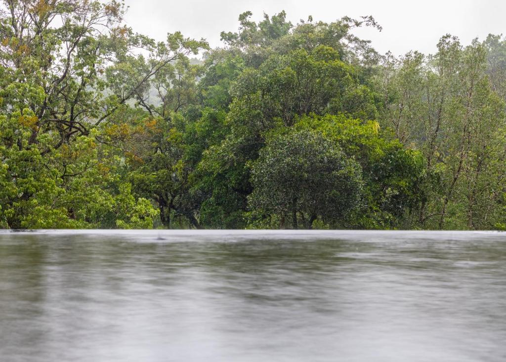 Surrounding environment