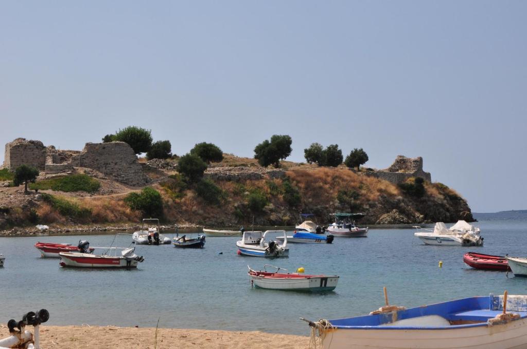 Bozelia Apartments photo