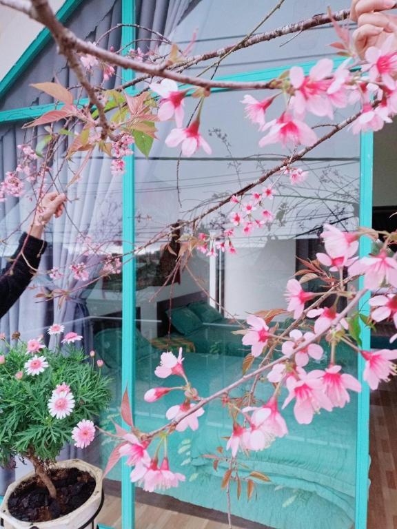 Paradiso Homestay Mangden photo