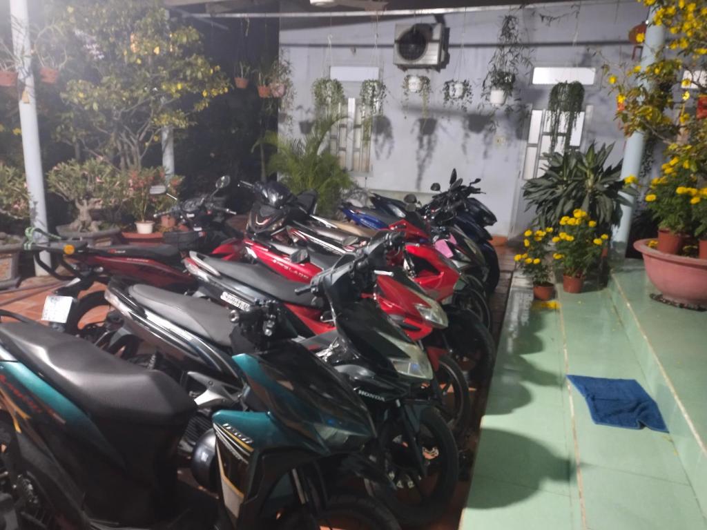 Hoai Oanh homestay