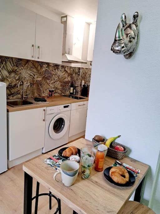Le Jungle Appart, centre ville Narbonne - 4