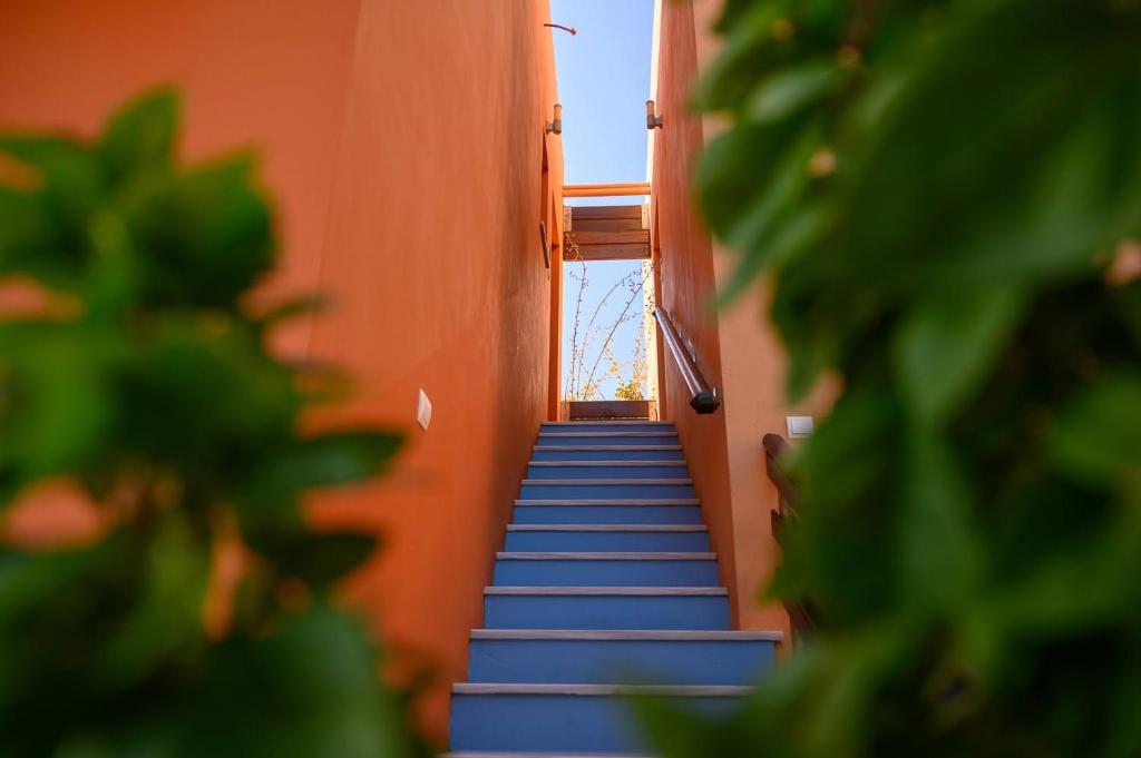 AnnaDes Apartments & Studio Chios photo