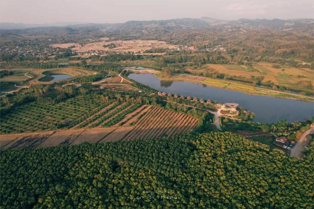 Surrounding environment