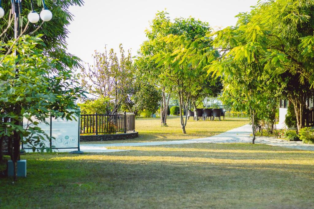 Surrounding environment