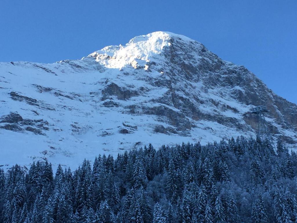 Eigerhome - Chalet am Buhl photo