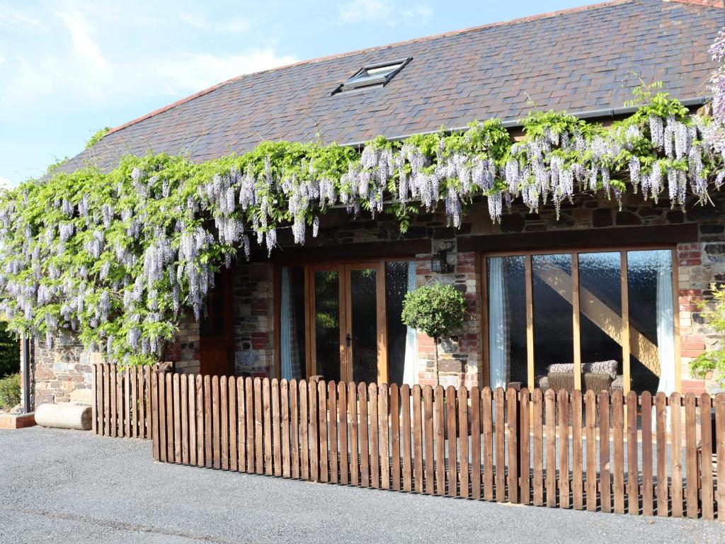 Little Orchard, Newton Abbot