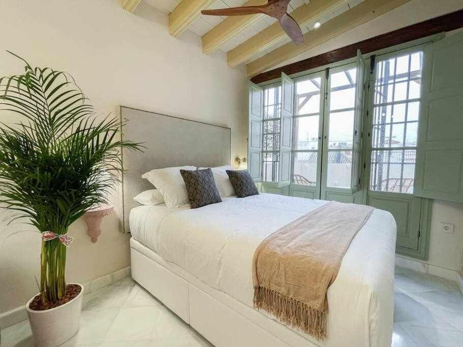 Juderia de Sevilla VI - Luxury Apartments - 5
