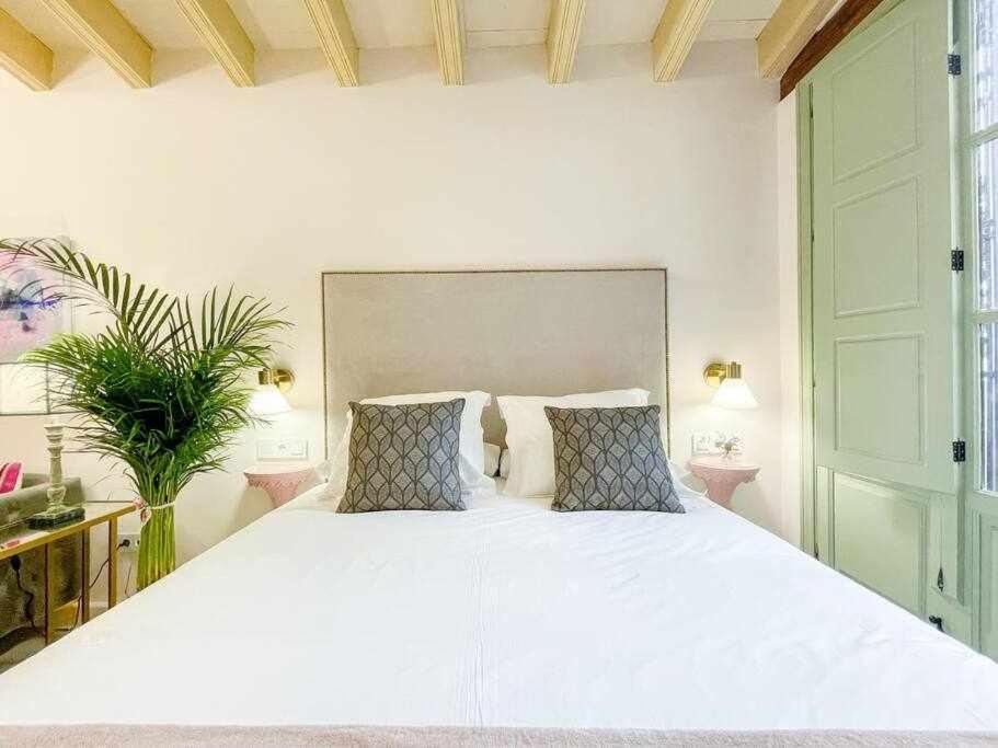 Juderia de Sevilla VI - Luxury Apartments - 4