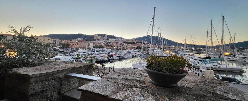Superbe T2 avec balcons, Vieux Port, Hyper centre Ajaccio - 5