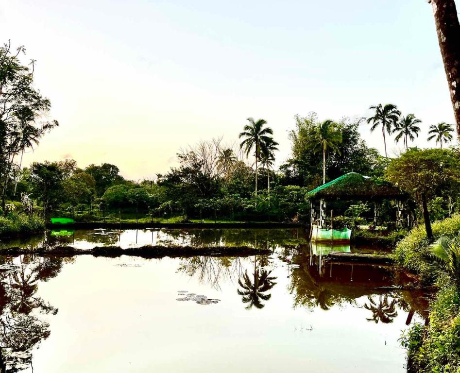 BALAI BANAHAW Vacation Farm and Private Resort photo