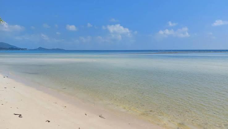 Villa Julia koh Samui with Cook and Majordome photo