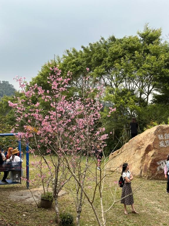 Surrounding environment