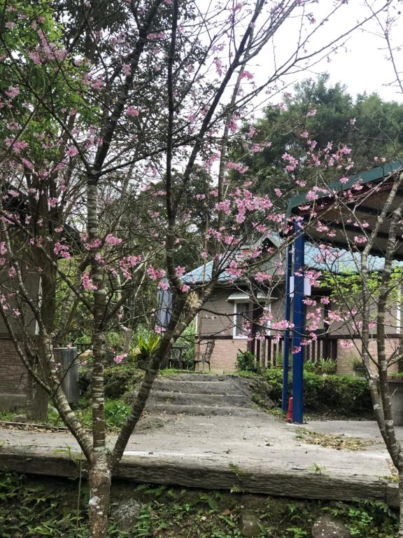 Surrounding environment