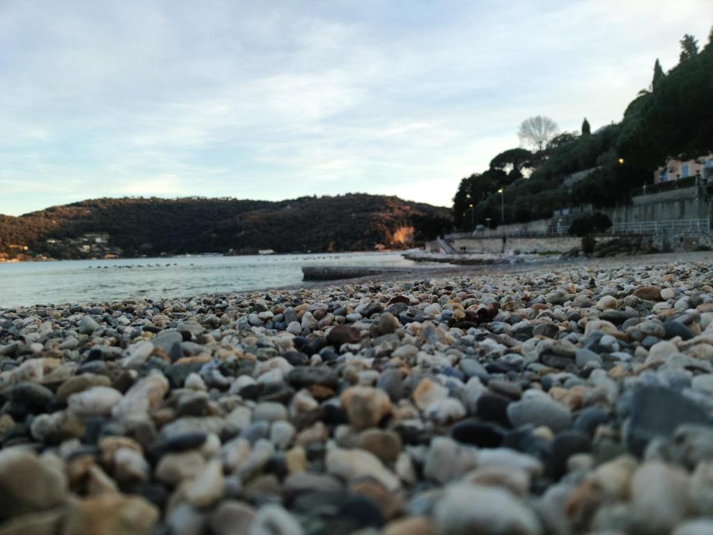 APPARTAMENTO MARIELLA - CITRA 011022-LT-166 - 3