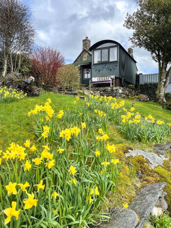 5 Star Shepherds Hut in Betws y Coed with Mountain View, Capel Curig