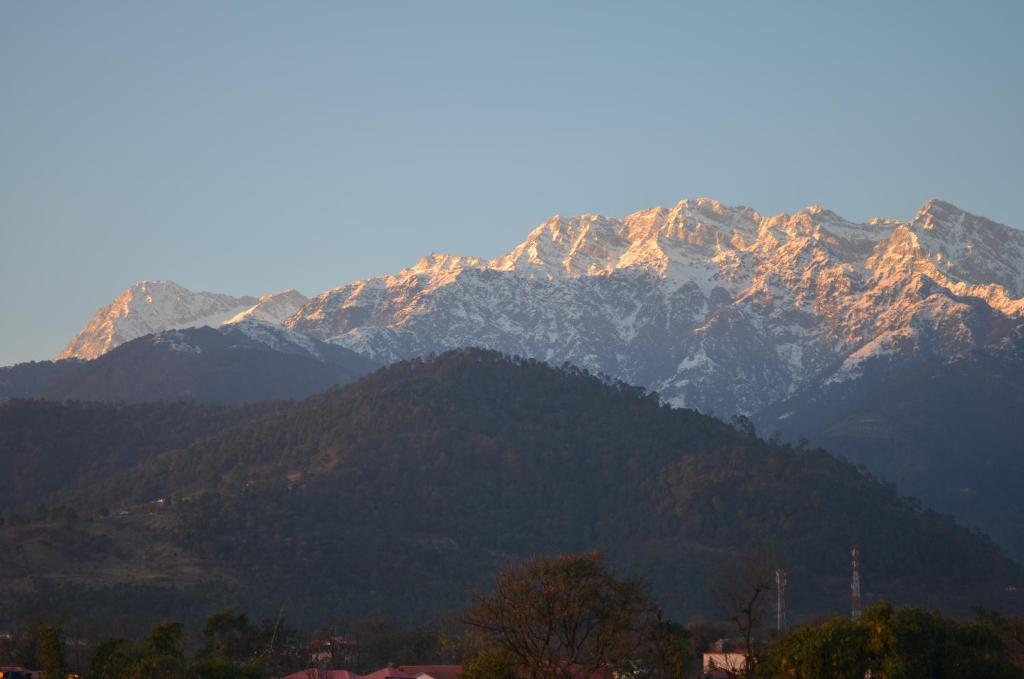 HIMALAYA INN photo