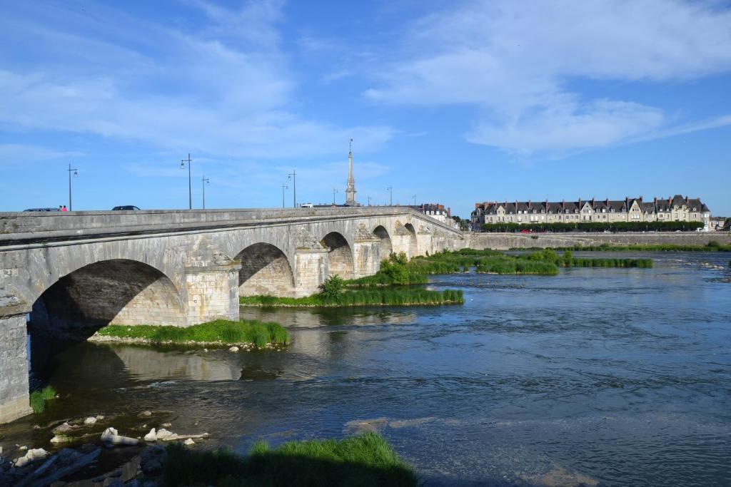 Entre Loire & Château - Vue exceptionnelle à Blois - 3