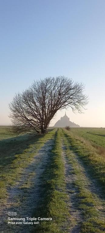 Etoile des Greves photo
