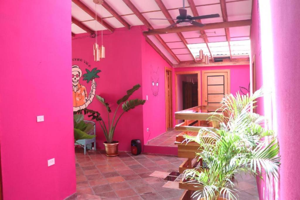 Planet B Hostel photo