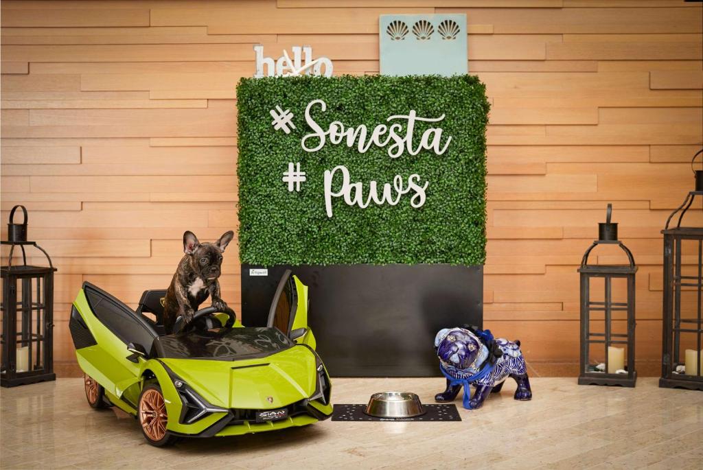 Sonesta Redondo Beach and Marina — Attractions for children in Redondo Beach, California