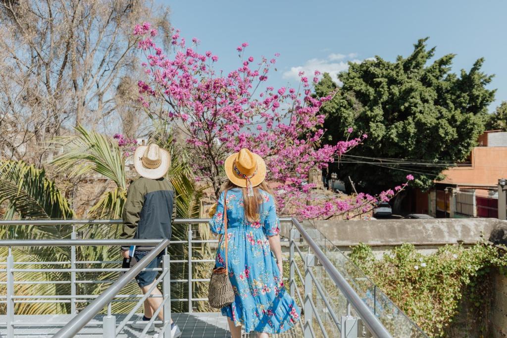 Majagua Hotel Boutique -Adults Only photo