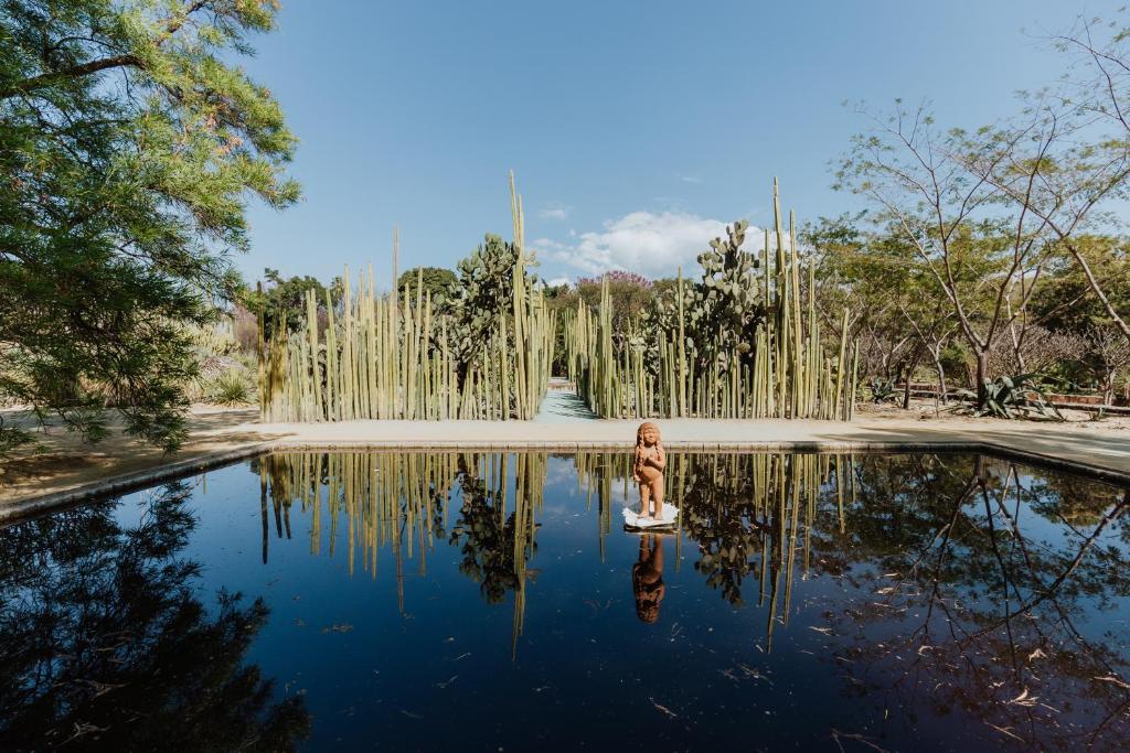 Majagua Hotel Boutique -Adults Only photo
