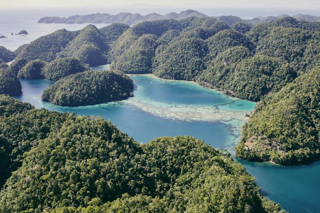 Surrounding environment