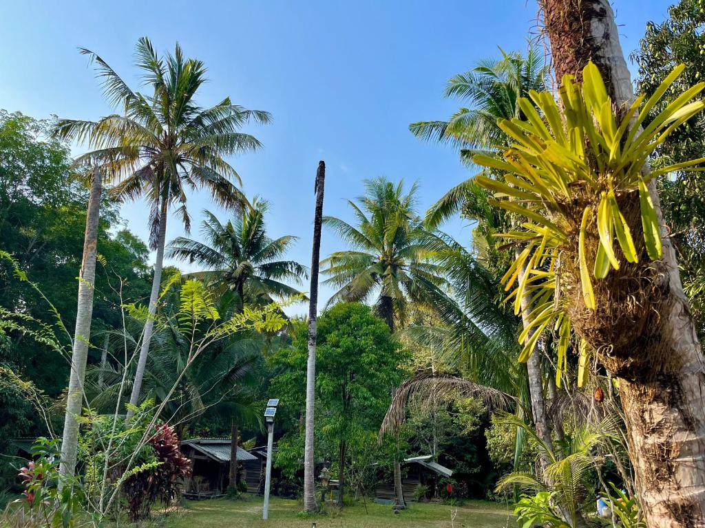 Surrounding environment