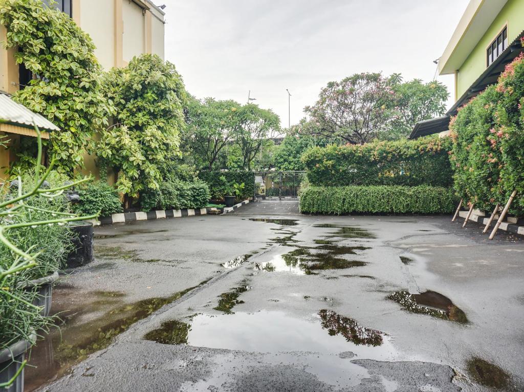 Taman