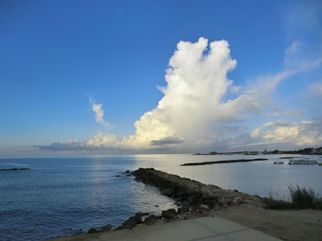 Limnaria Westpark photo