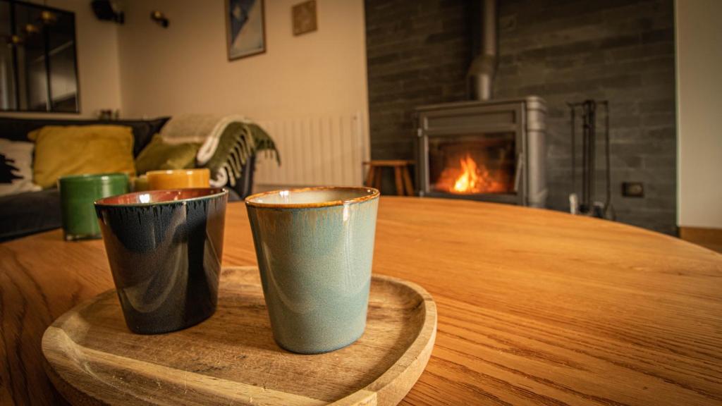 Chalet Peak Noir entier 12pers - Cosy House Peak Noir for 12people - 2