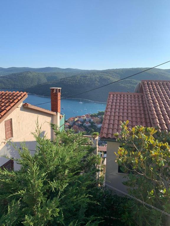 Lavendula, Rabac