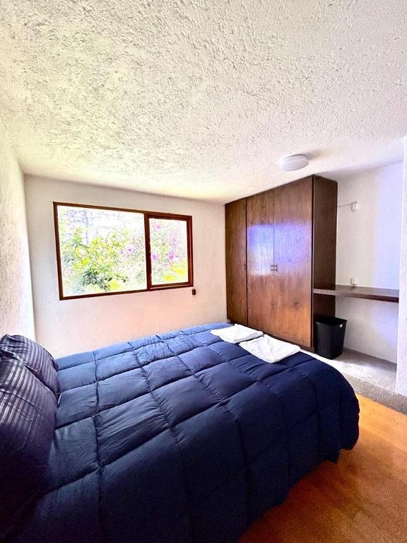 Casa Frida Coyoacan - 4