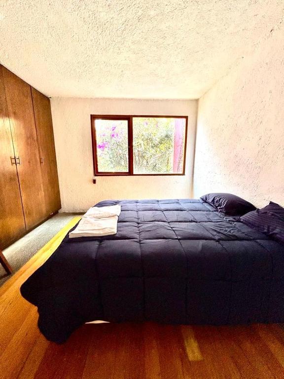 Casa Frida Coyoacan - 3