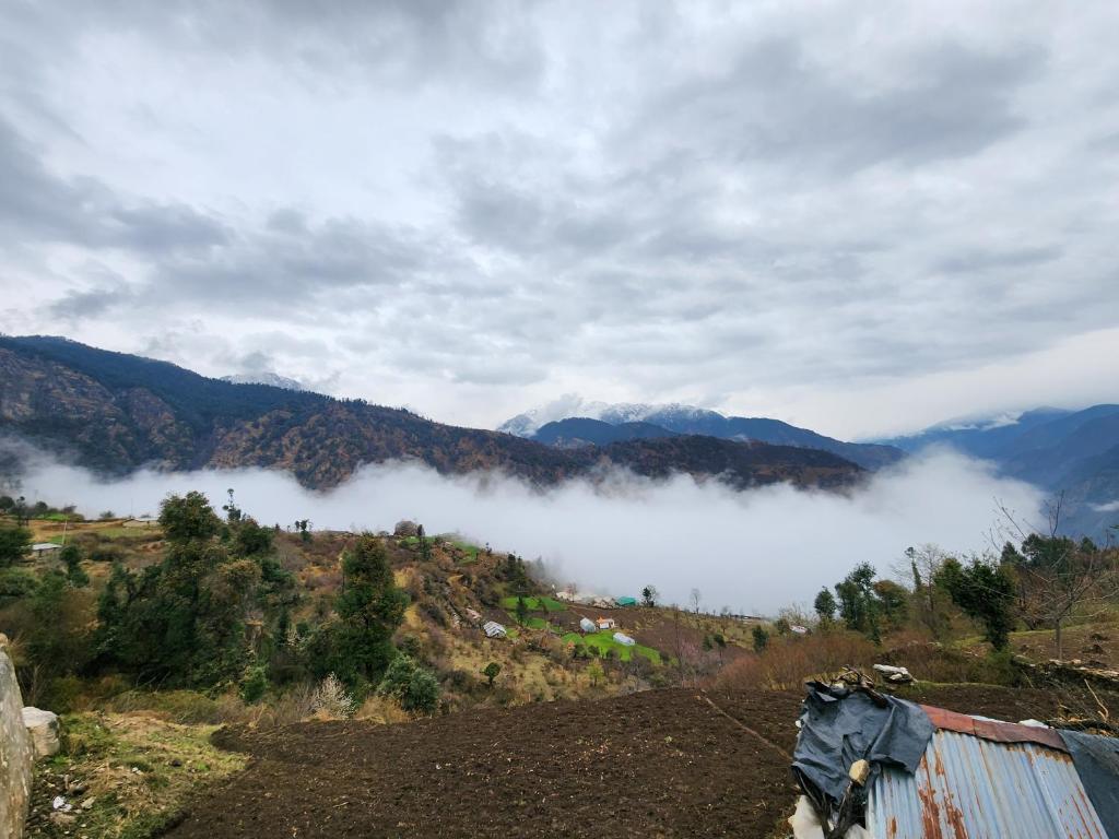 Dayra bugyaal trek resort photo