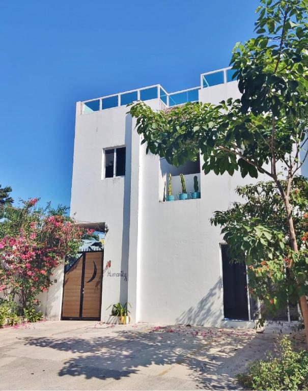 Hostel Humanity - Puerto Morelos - 3