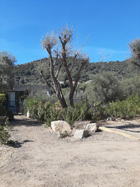 N5 Maison T2 climatisé - 5