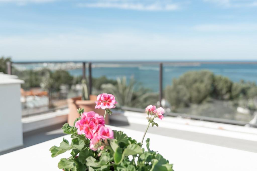 Suites House Denia - 4