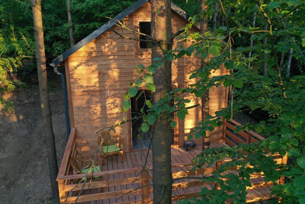 Lasoterapia (Foresttherapy) photo