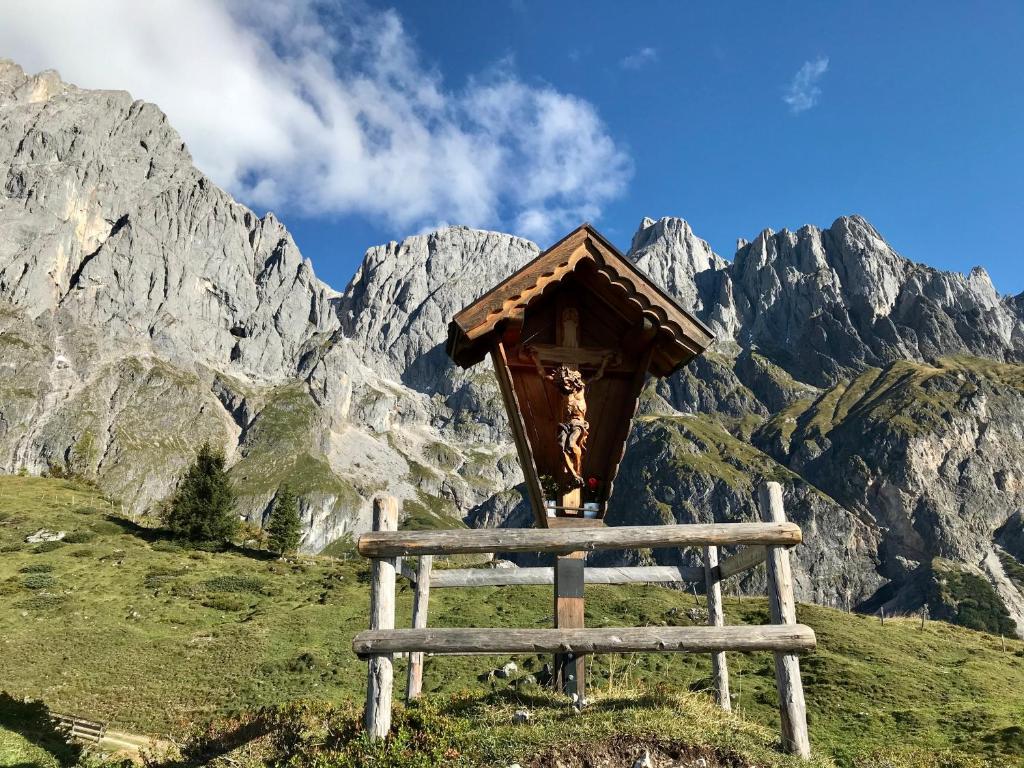Bio Schartenalm - 4
