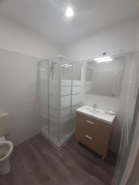 appartement 45m2 parking gratuit en plein centre ville - 5