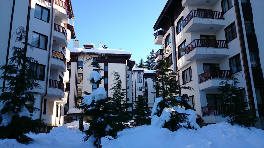 TES Flora Apartments — Hotel in Borovets