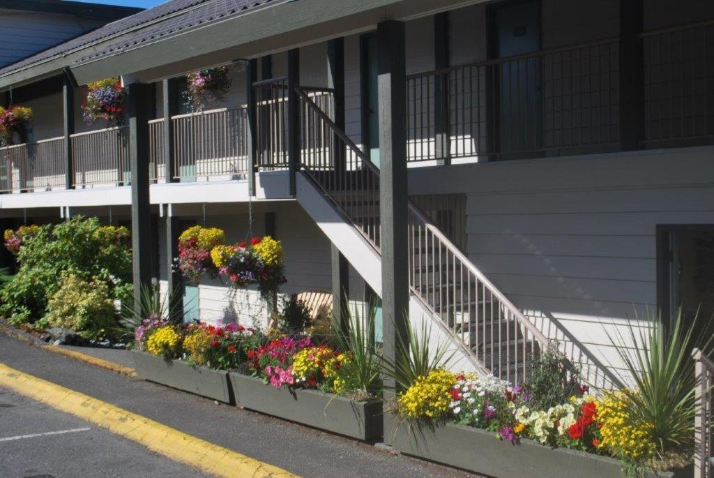 Pacific Rim Motel photo