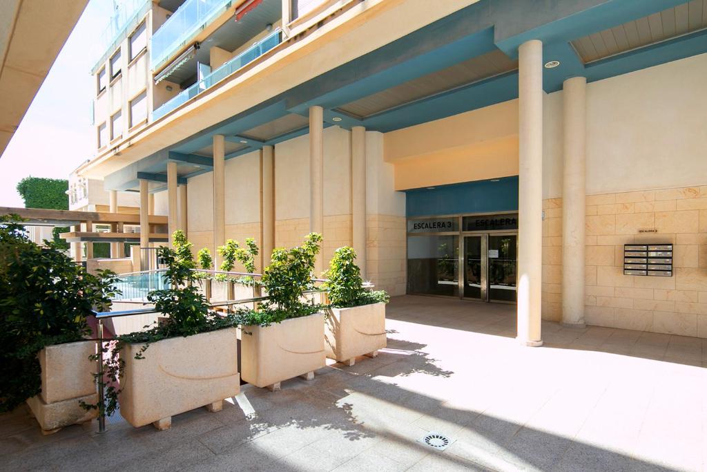 Homeincalpe Borumbot - 5