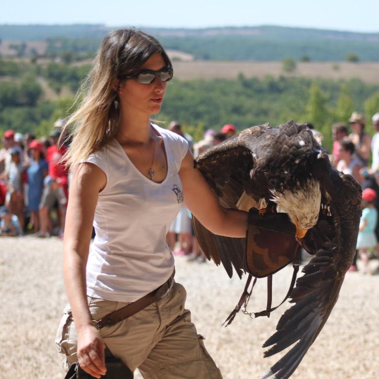 Excellent Sarlat - 4
