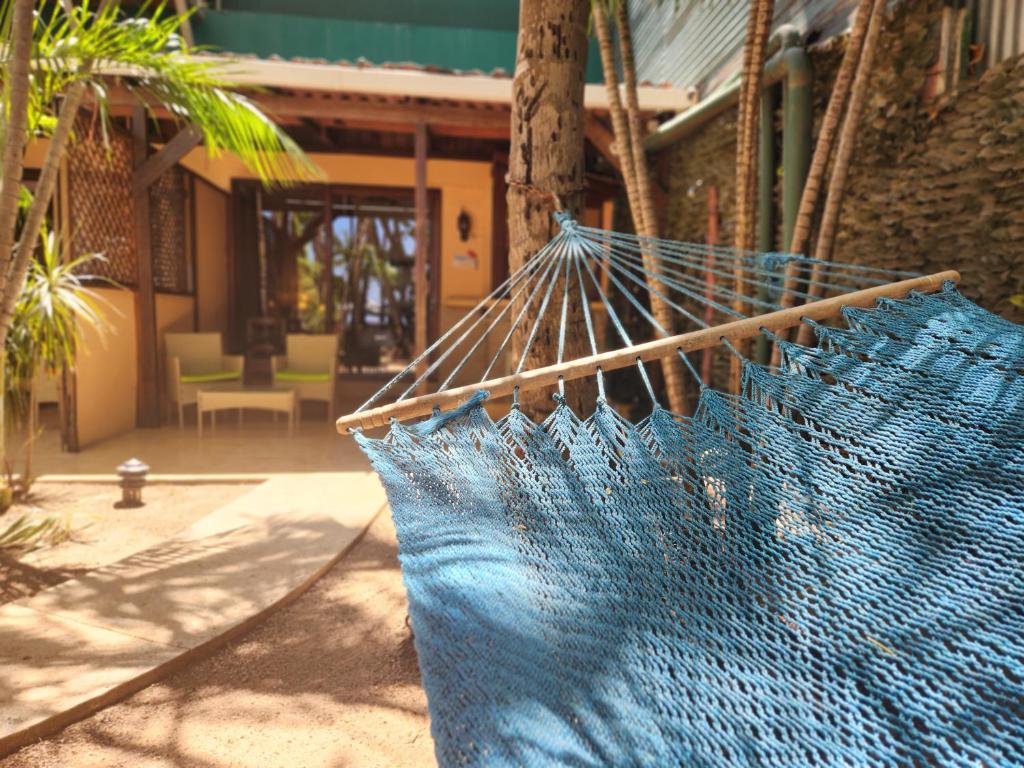 Garden, Hotel La Palapa in Tamarindo