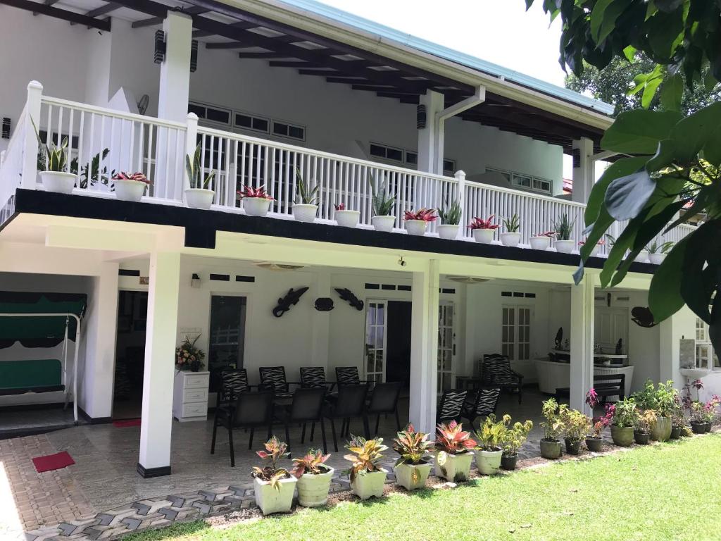 Dumi's Shelter Home Stay photo