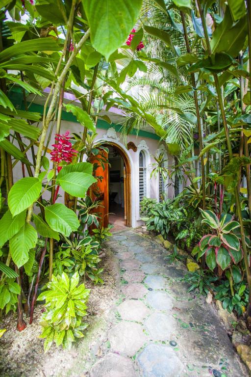 Banana Bank Lodge & Jungle Horseback Adventures photo