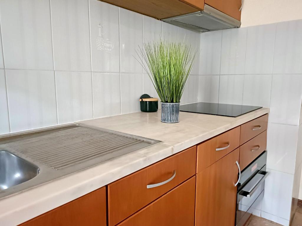 Vau View - Sea View - Portimão, Portimão